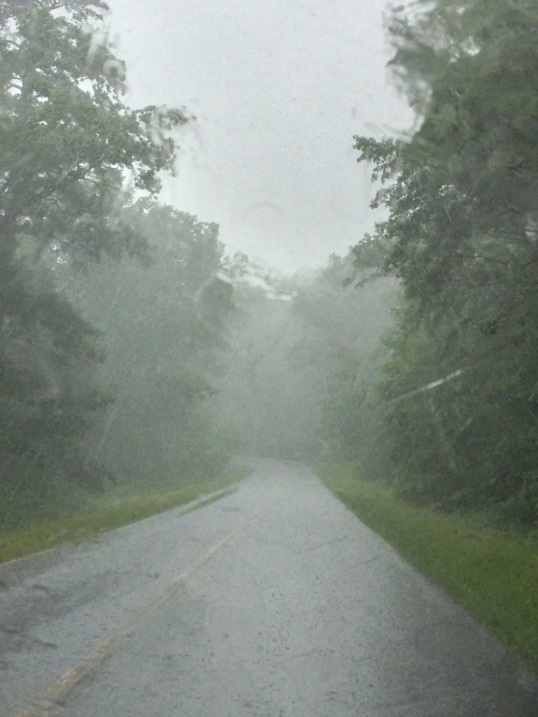Today's rainy and foggy open road - Blue Ridge Parkway